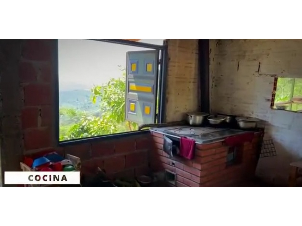VENTA FINCA CORDOBA VEREDA LA CONCHA - 16 HECTAREAS — foto 6