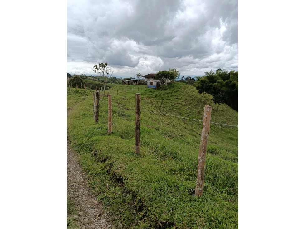 VENTA FINCA FILANDIA A BORDE DE CARRETERA - 20 CUADRAS - 1