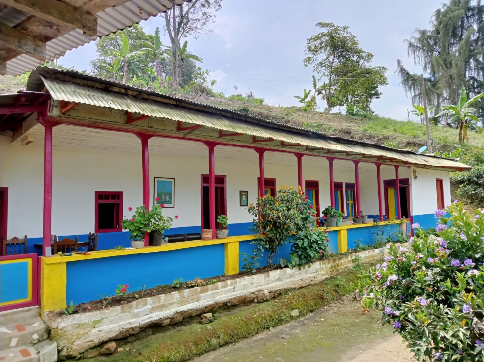 VENTA FINCA PRODUCTIVA VEREDA EL CINABRIO - 31.5 CUADRAS - 1