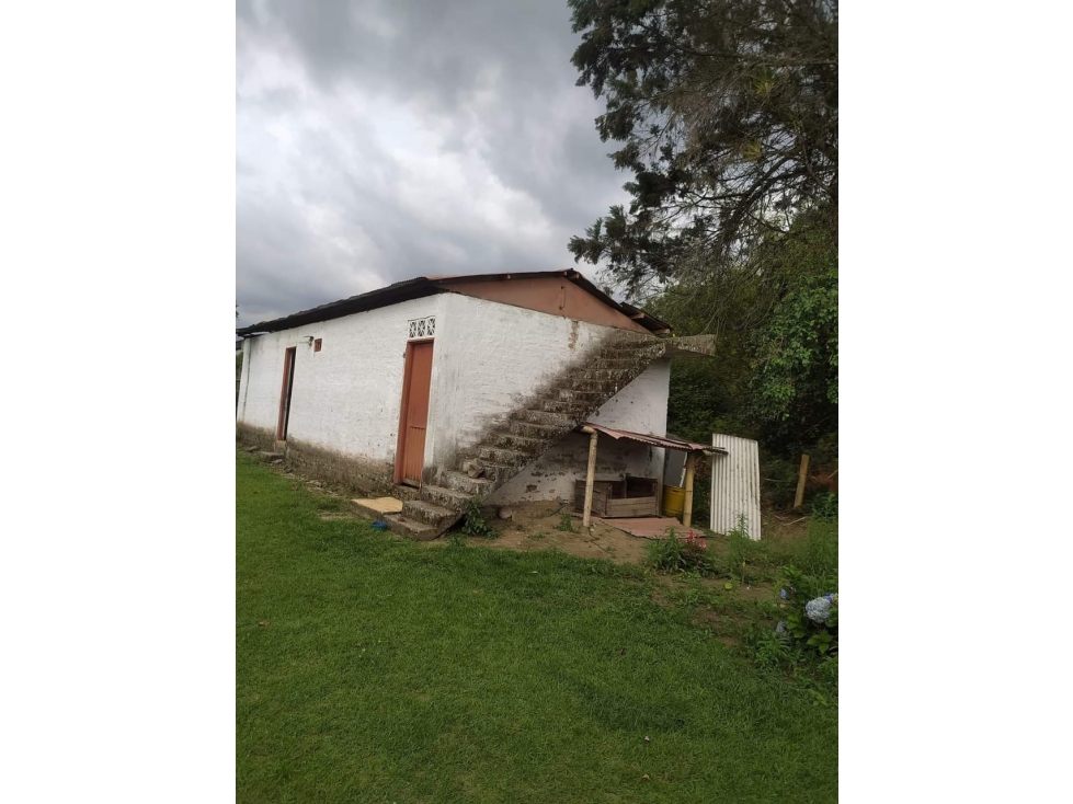 VENTA FINCA CIRCASIA VIA ARMENIA - 14 CUADRAS — foto 4