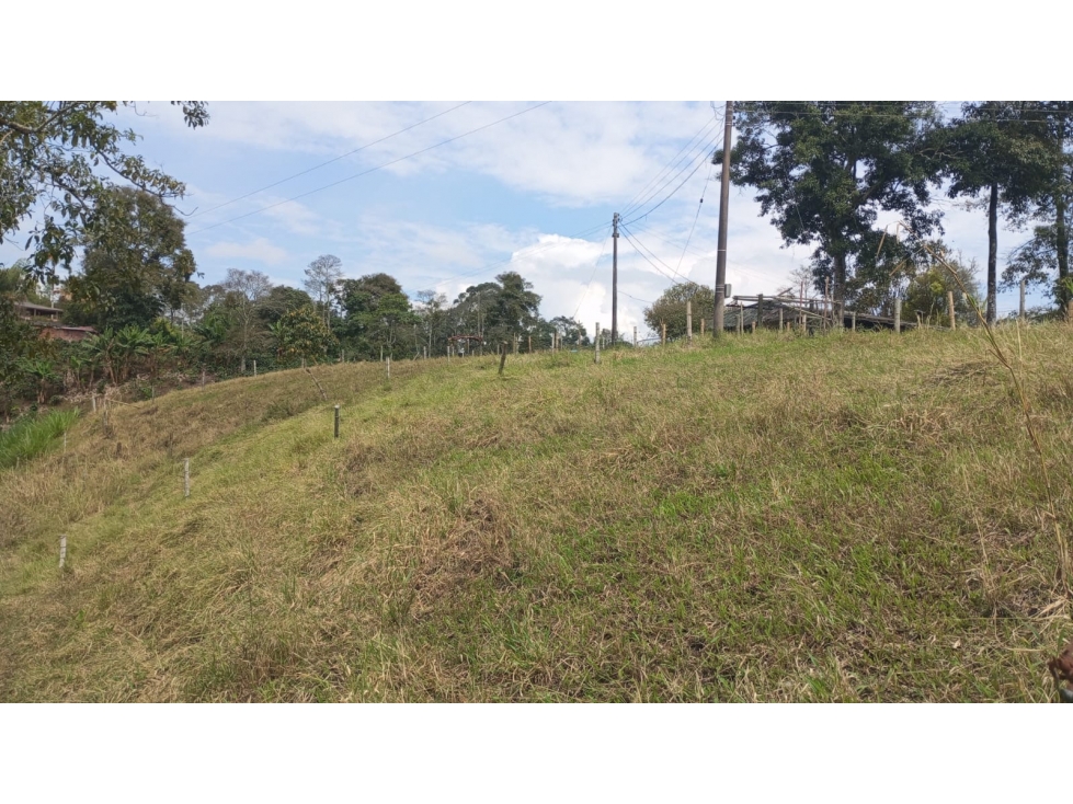 VENTA FINCA CIRCASIA VIA MONTENEGRO - 4 CUADRAS — foto 4