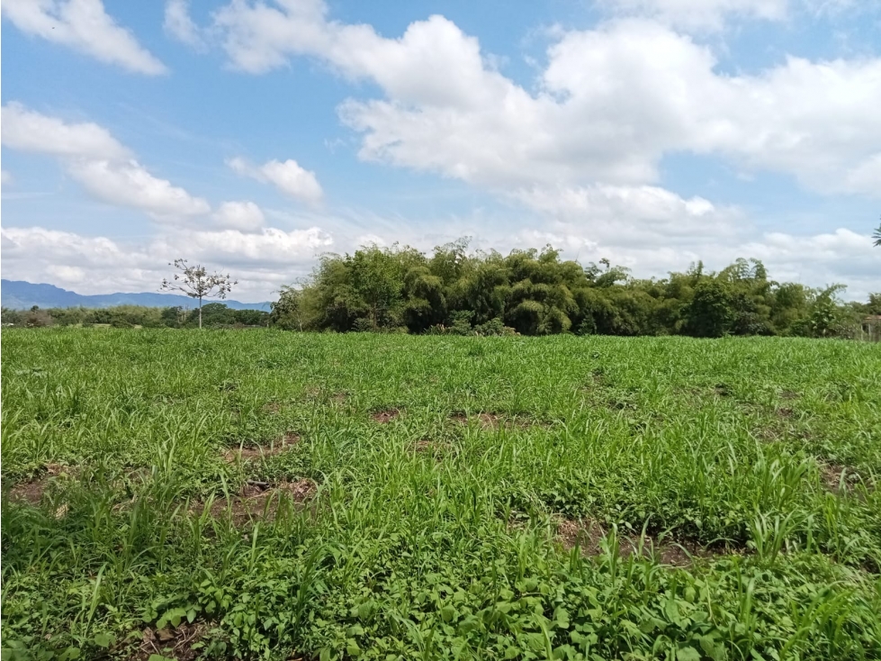 VENTA LOTE CAMPESTRE PUEBLO TAPAO IDEAL PROYECTO O USO TURISTICO - 3