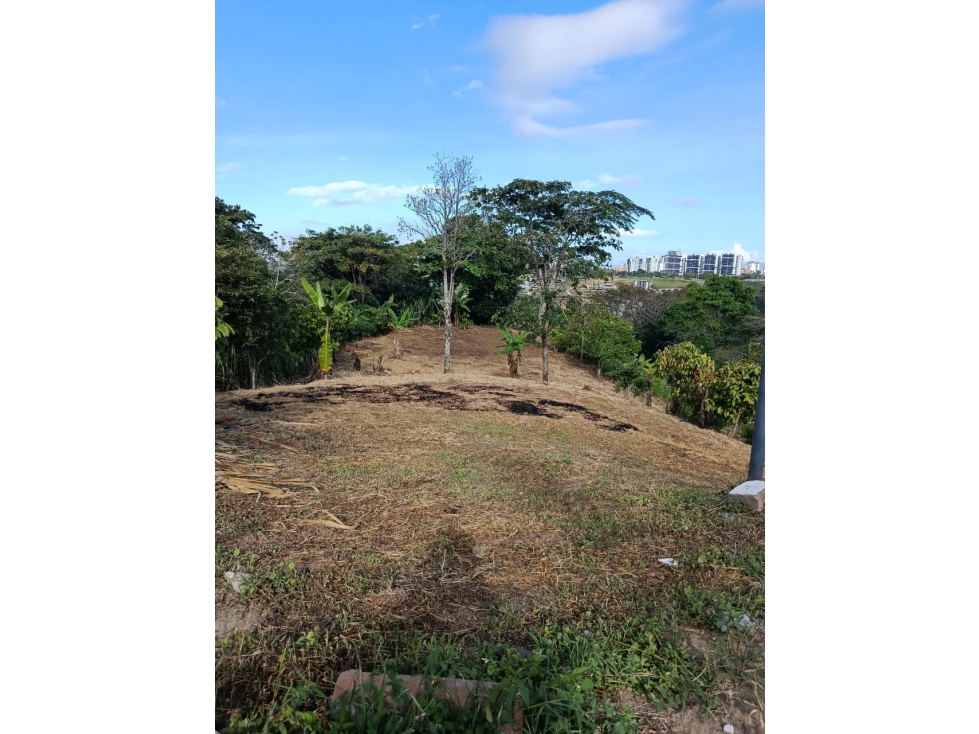 VENTA LOTE CAMPESTRE CALARCA - VIA CHAGUALA - 1