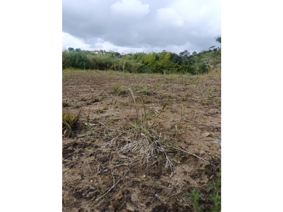 VENTA LOTE CAMPESTRE INDEPENDIENTE NORTE DE ARMENIA — foto 5