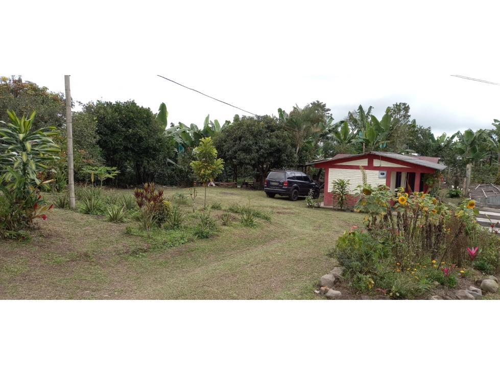 VENTA FINCA SECTOR MIRADOR FILANDIA VIA ULLOA - 1