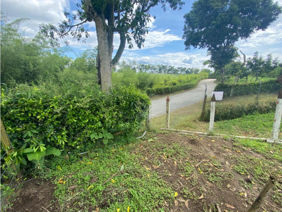 VENTA LOTE CAMPESTRE MONTENEGRO SECTOR BARAYA - 5