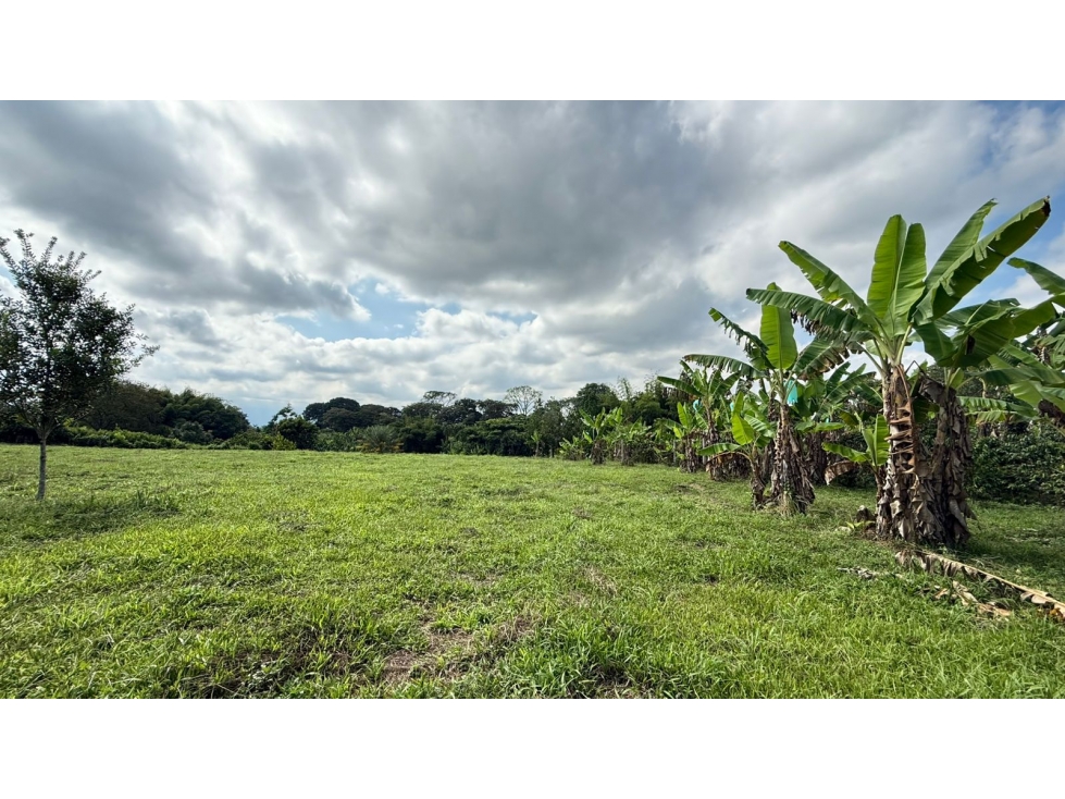 VENTA LOTE CAMPESTRE VIA ARMENIA - PUEBLO TAPAO