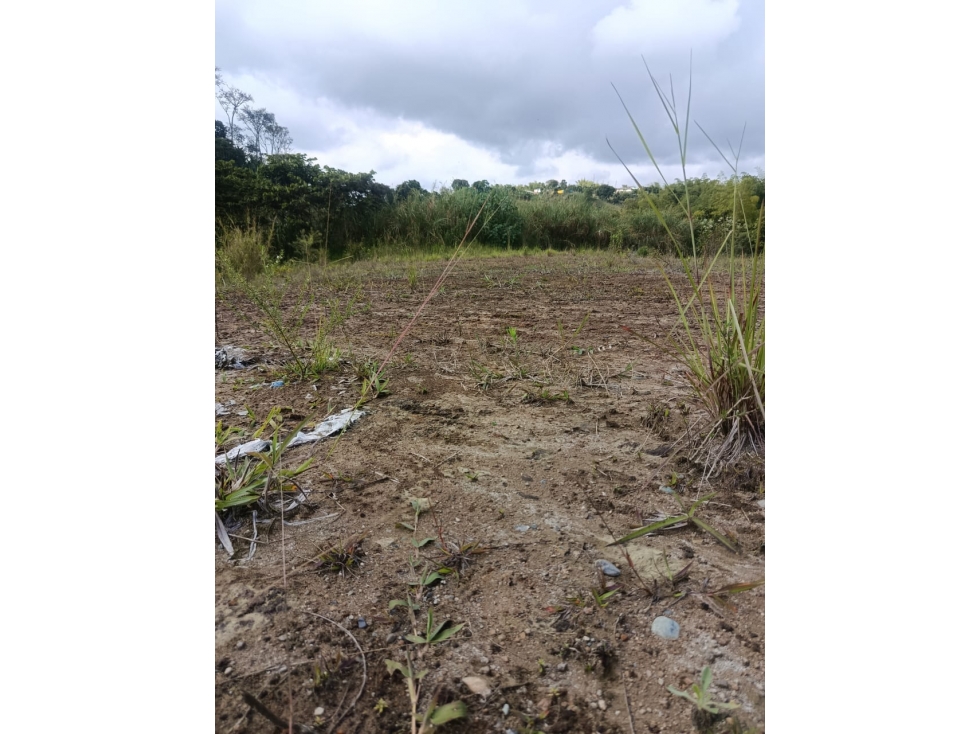 VENTA LOTE CAMPESTRE INDEPENDIENTE NORTE DE ARMENIA — foto 6