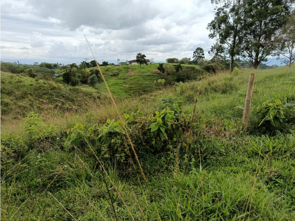 VENTA FINCA FILANDIA A BORDE DE CARRETERA - 20 CUADRAS - 6