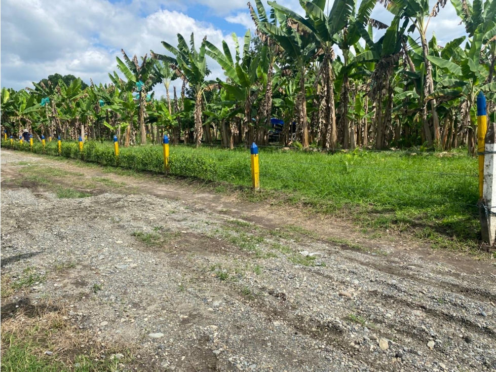 VENTA LOTE CAMPESTRE MONTENEGRO SECTOR BARAYA - 1