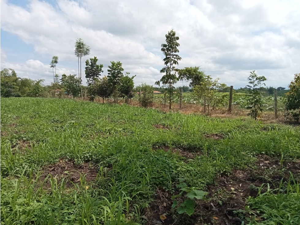 VENTA LOTE CAMPESTRE PUEBLO TAPAO IDEAL PROYECTO O USO TURISTICO - 5