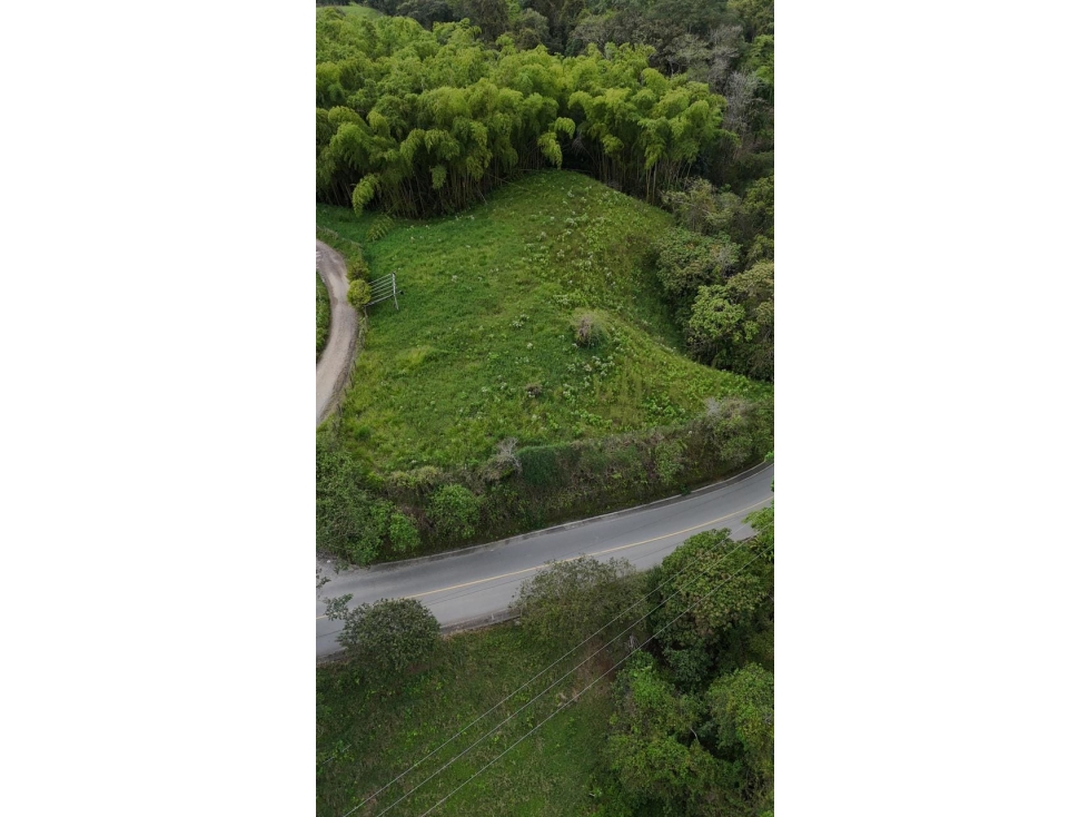 VENTA LOTE CAMPESTRE NORTE SECTOR COLILLAS — foto 5