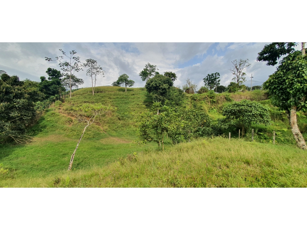 VENTA LOTE SECTOR AVENIDA CENTENARIO — foto 6