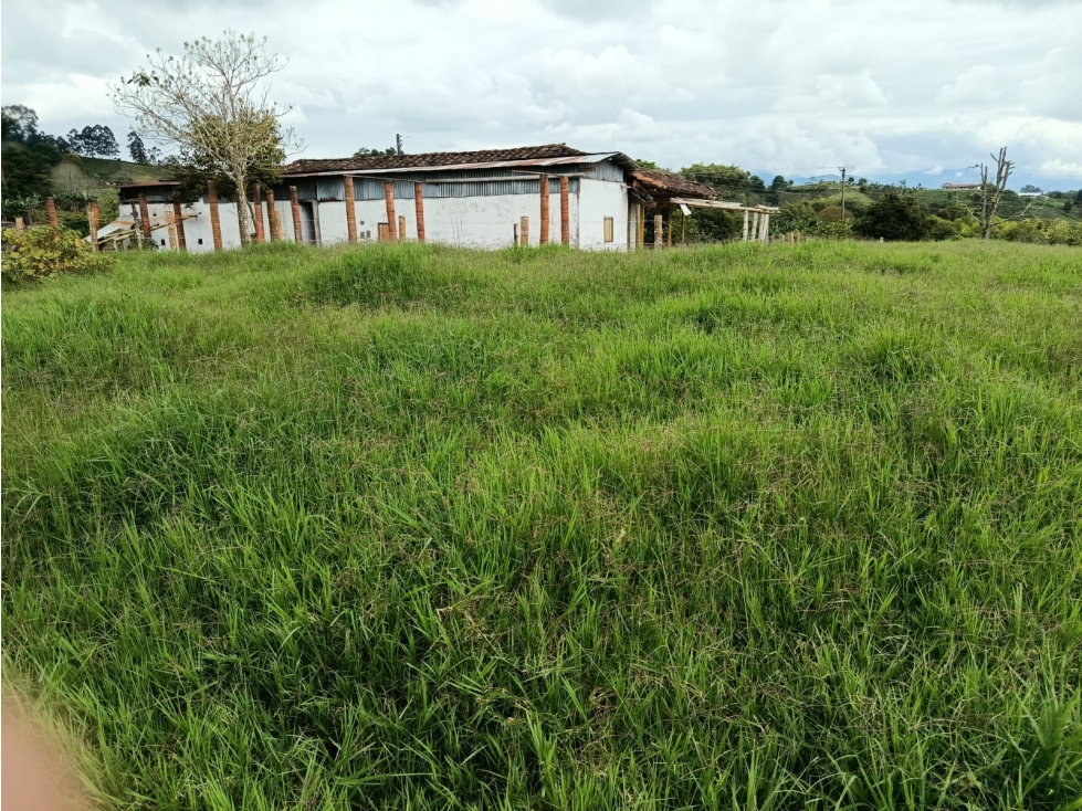 VENTA FINCA FILANDIA A BORDE DE CARRETERA - 20 CUADRAS - 3