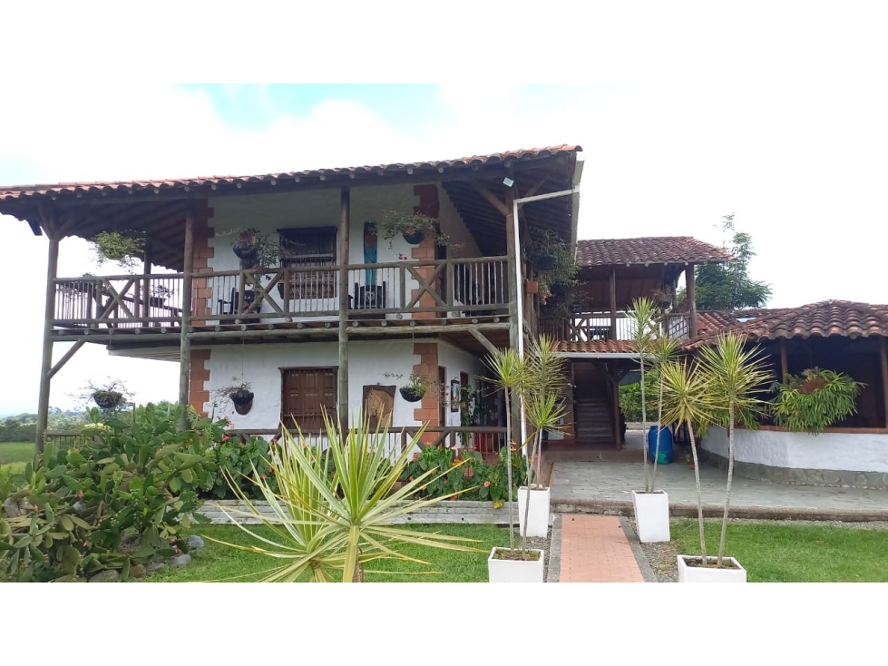 VENTA FINCA GANADERA VIA CIRCASIA MONTENEGRO - 12 CUADRAS — foto 3
