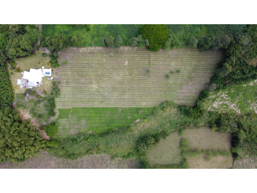 VENTA FINCA ARMENIA VIA LA TEBAIDA - 5 CUADRAS