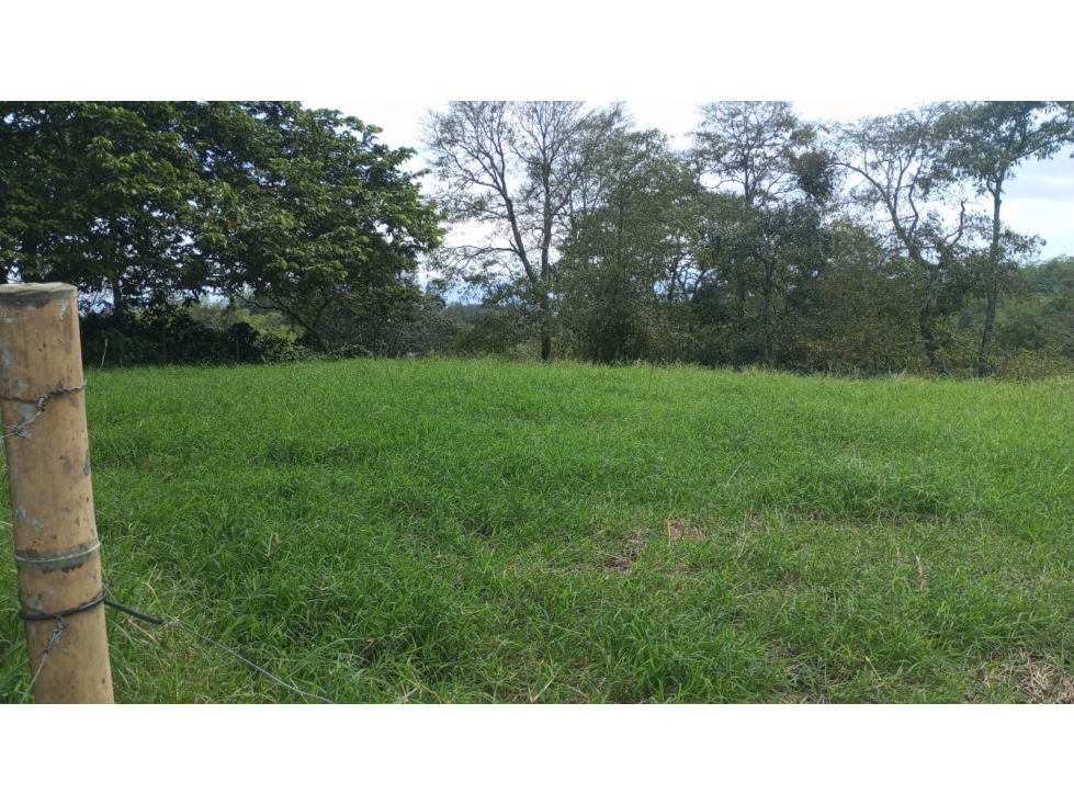 VENTA FINCA CIRCASIA VIA MONTENEGRO - 4 CUADRAS
