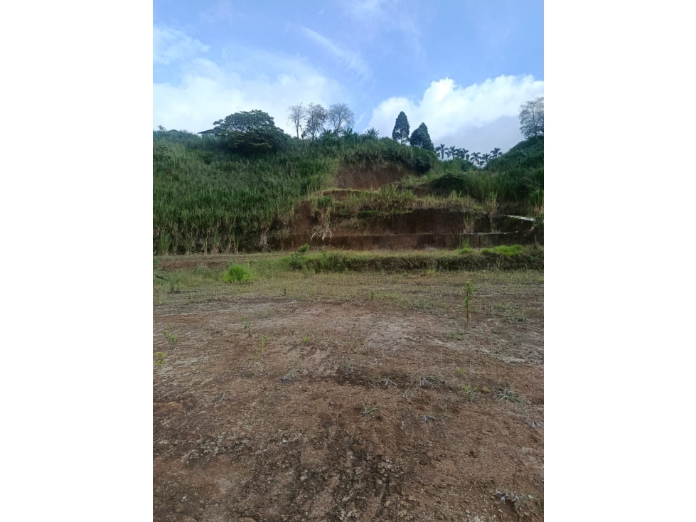 VENTA LOTE CAMPESTRE INDEPENDIENTE NORTE DE ARMENIA — foto 3