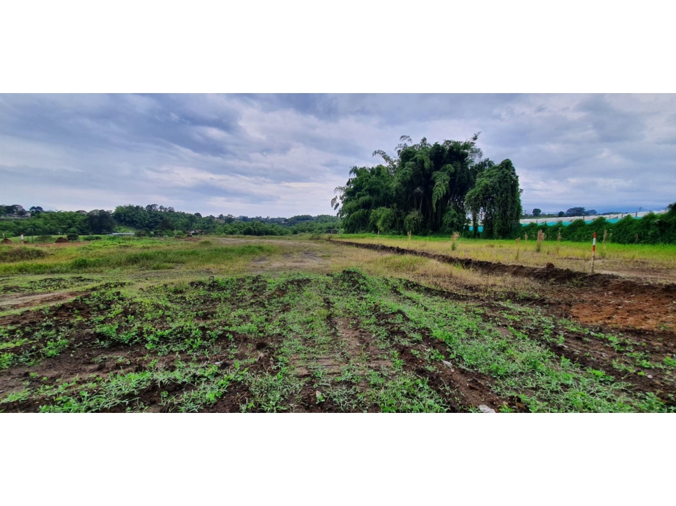 VENTA LOTE PROYECTO DE PARCELACION SECTOR HOJAS ANCHAS — foto 4