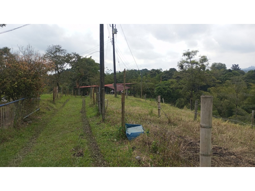 VENTA FINCA CIRCASIA VIA MONTENEGRO - 4 CUADRAS — foto 5
