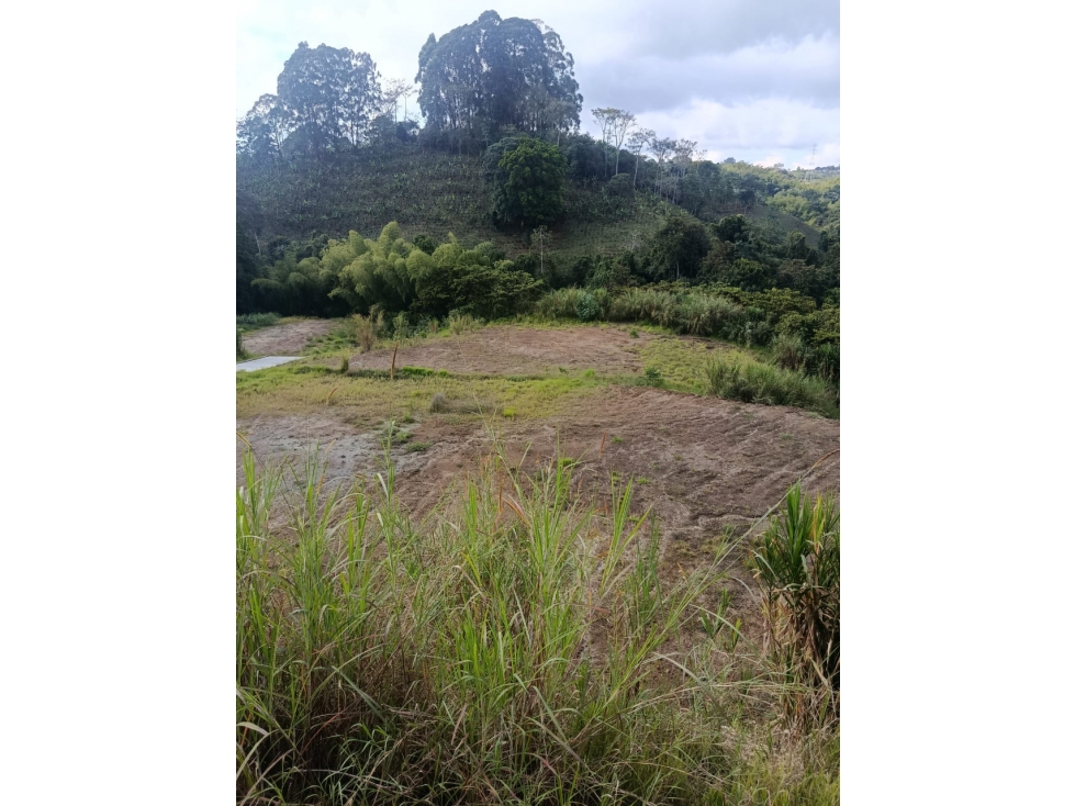 VENTA LOTE CAMPESTRE INDEPENDIENTE NORTE DE ARMENIA — foto 4