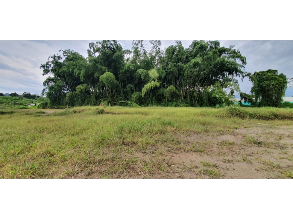 VENTA LOTE PROYECTO DE PARCELACION SECTOR HOJAS ANCHAS