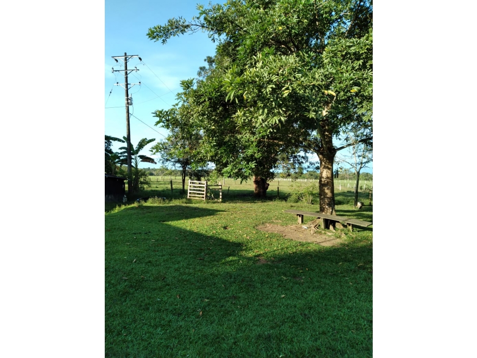 VENTA FINCA ACACIAS VEREDA PATIO BONITO - 200 HECTAREAS - 2