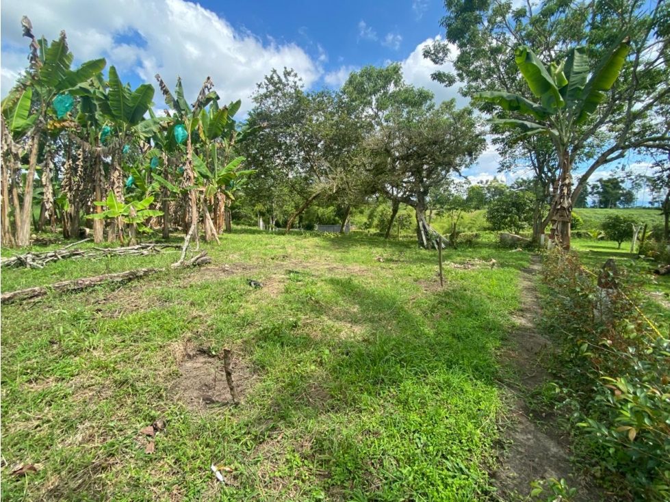 VENTA LOTE CAMPESTRE MONTENEGRO SECTOR BARAYA - 3