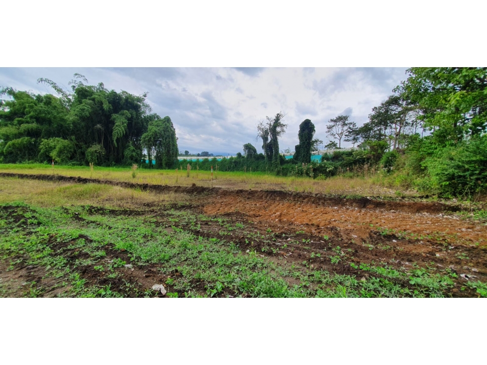 VENTA LOTE PROYECTO DE PARCELACION SECTOR HOJAS ANCHAS — foto 3