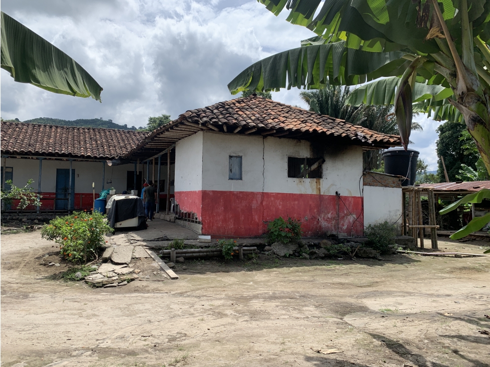 VENTA FINCA VIA RIO VERDE - 16.8 CUADRAS - 3