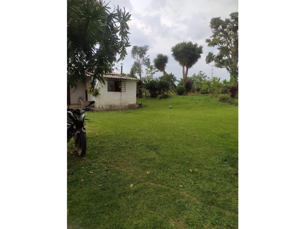 VENTA FINCA CIRCASIA VIA ARMENIA - 14 CUADRAS — foto 6