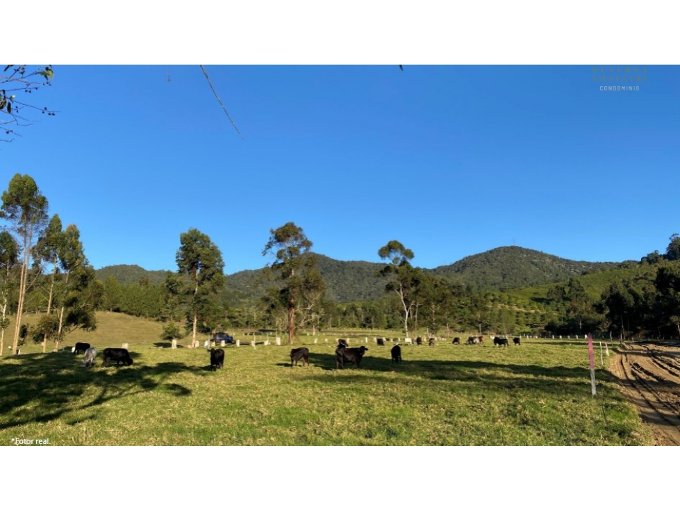 VENTA DE LOTE EN LA CEJA, SECTOR EL YARUMO