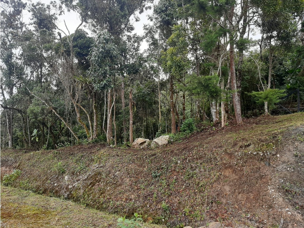 venta de Hermoso lote ubicado en envigado sector la miel — foto 2