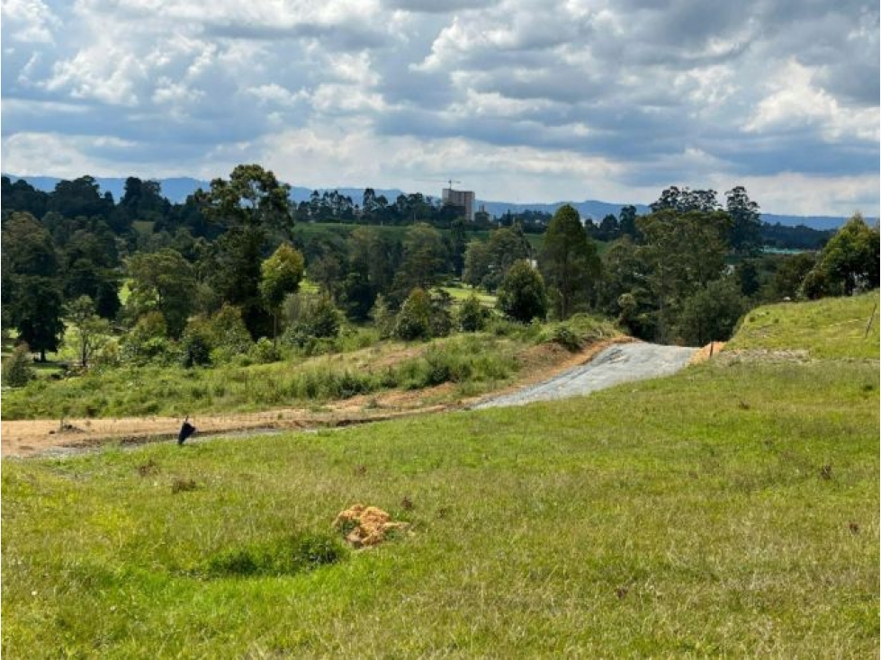LOTE EN RIONEGRO