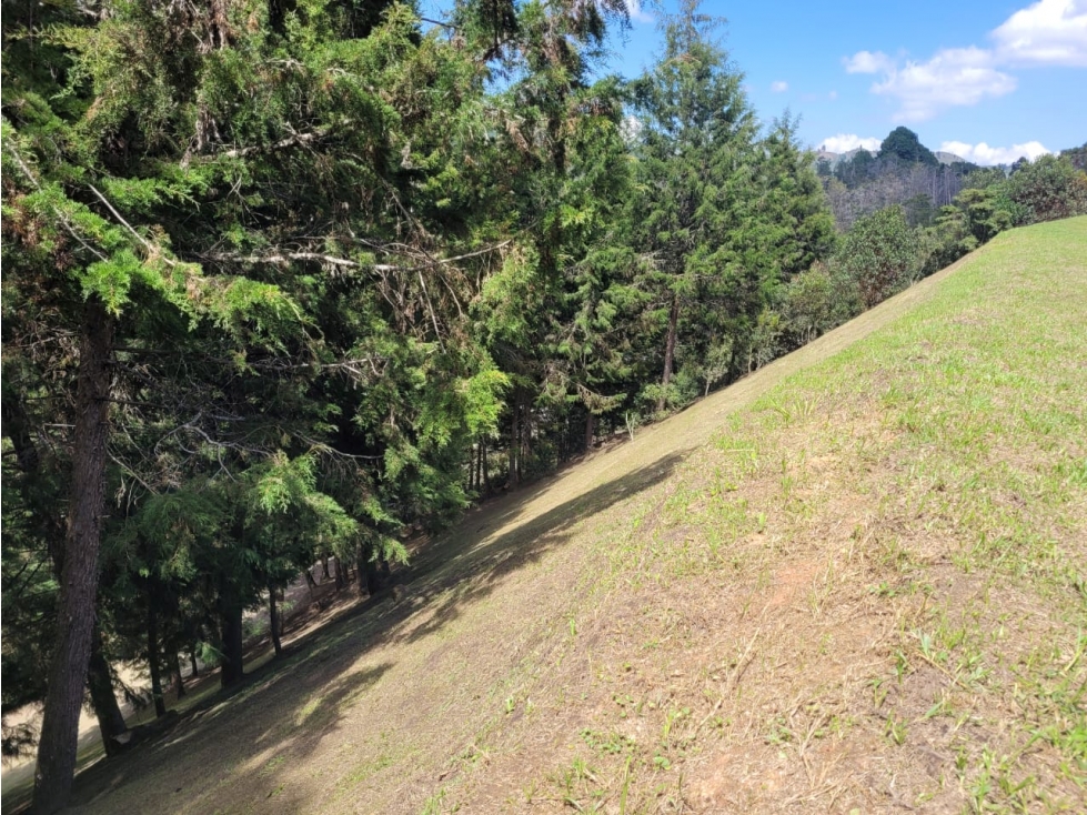 VENTA DE LOTE EN GUARNE, VEREDA SAN JOSÉ — foto 3