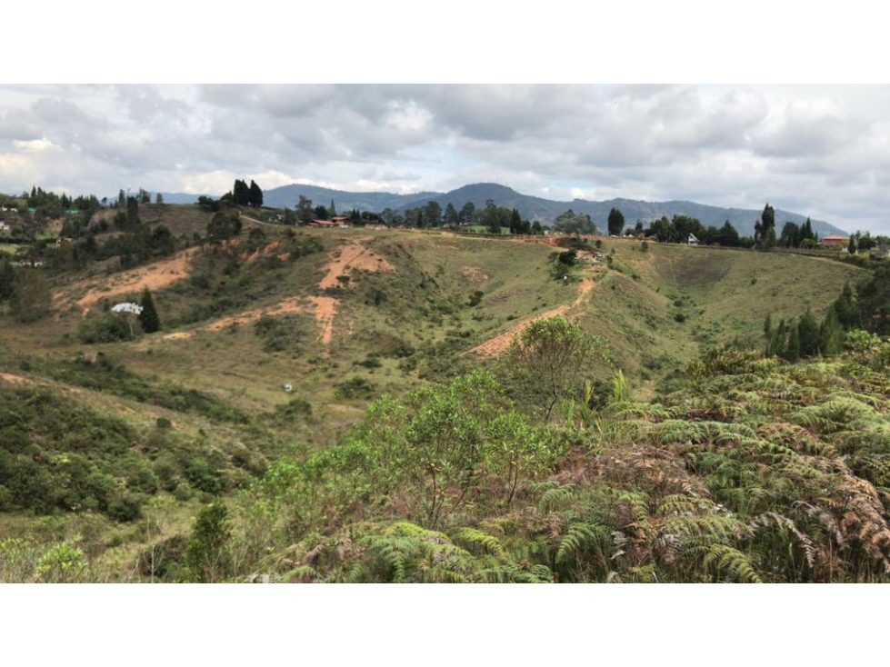 VENTA DE LOTE EN GUARNE, SECTOR TOLDAS. — foto 3