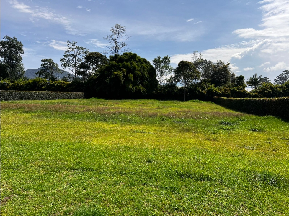 VENTA LOTE EN EL CARMEN DE VIBORAL