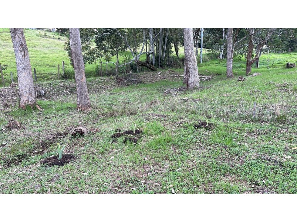 VENTA DE LOTE EN LA VEREDA LOS SALADOS EL RETIRO - FIZEBAD — foto 2