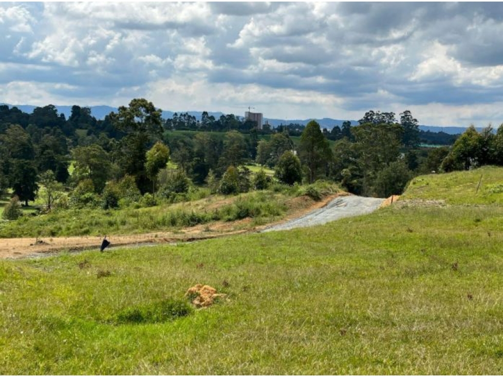 LOTE RIONEGRO