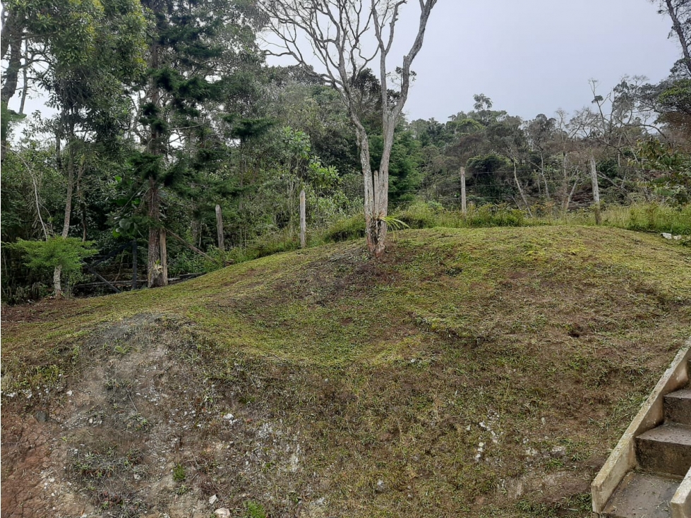 venta de Hermoso lote ubicado en envigado sector la miel
