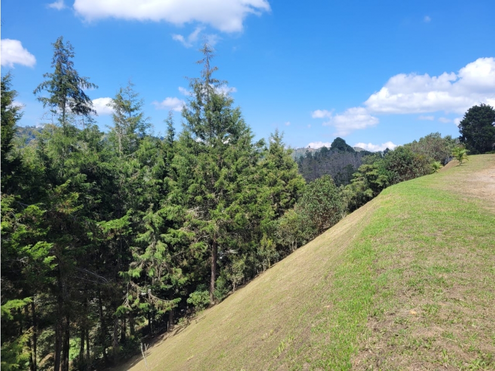 VENTA DE LOTE EN GUARNE, VEREDA SAN JOSÉ — foto 5