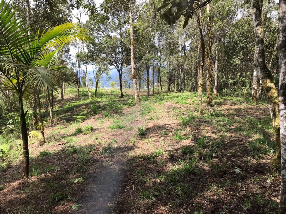 Venta de lote en parcelación en el Retiro