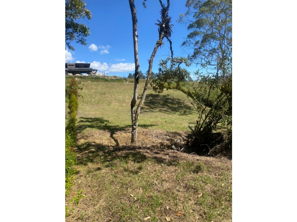 VENTA DE LOTE EN LA VEREDA LOS SALADOS EL RETIRO - FIZEBAD — foto 6