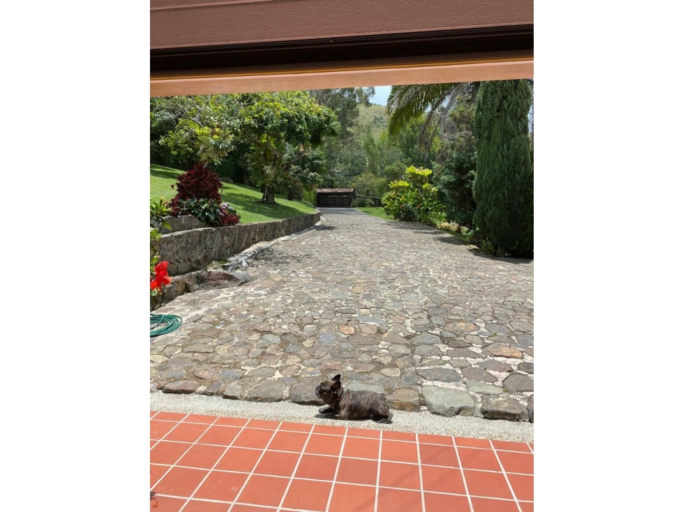 Finca de 6.970 m² con 7 alcobas en venta en Copacabana — foto 2