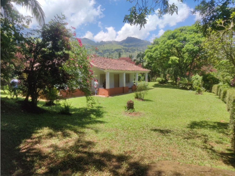Finca en Girardota Vereda el Totumo Buena Vista - 2