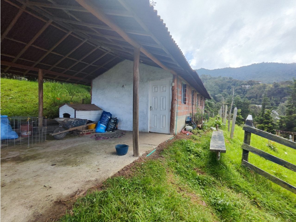 Finca en Caldas la miel Fácil Acceso - 4