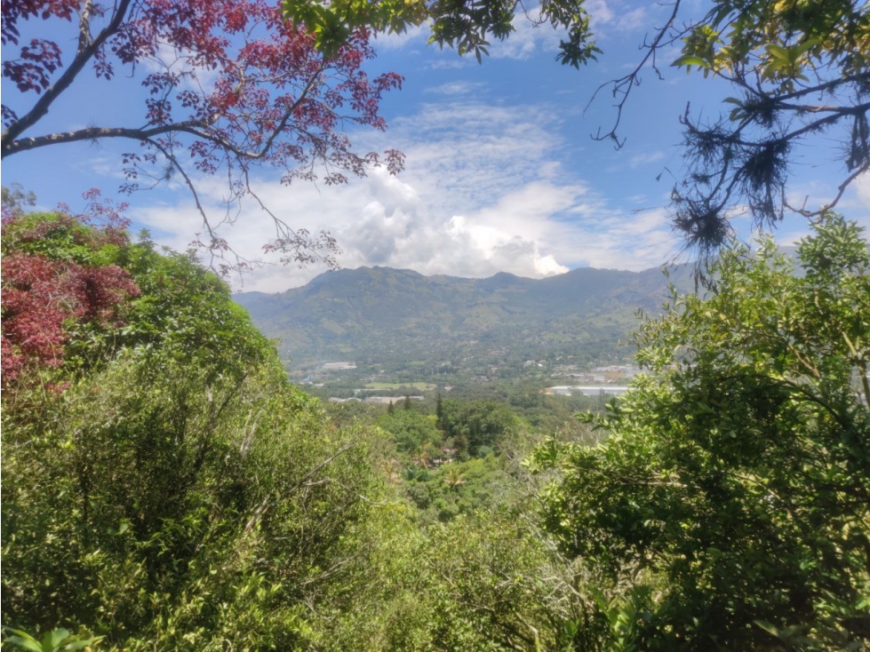 Finca en Girardota Vereda el Totumo Buena Vista - 5