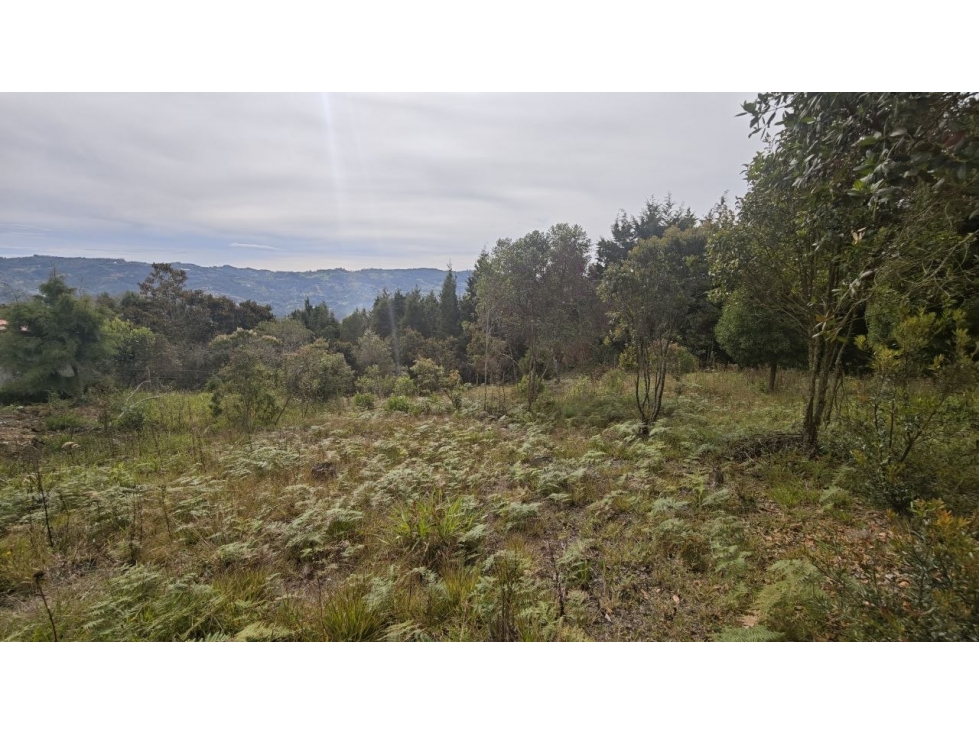 Lote de 1.970 m² en venta en la vereda San Isidro, Guarne