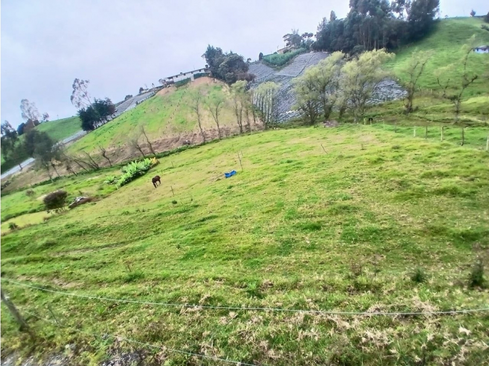 Lote de 2.600 m², vereda La Lana, San Pedro de los Milagros — foto 2