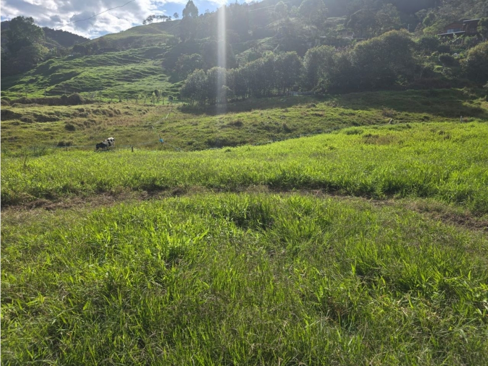 Lote en Barbosa Alto de Matasano